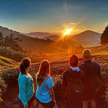 C1 Backpackers Hostel Cameron Highlands Eksteriør billede