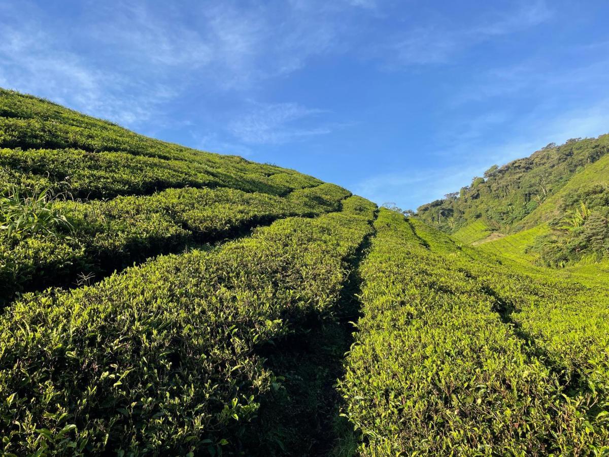 C1 Backpackers Hostel Cameron Highlands Eksteriør billede