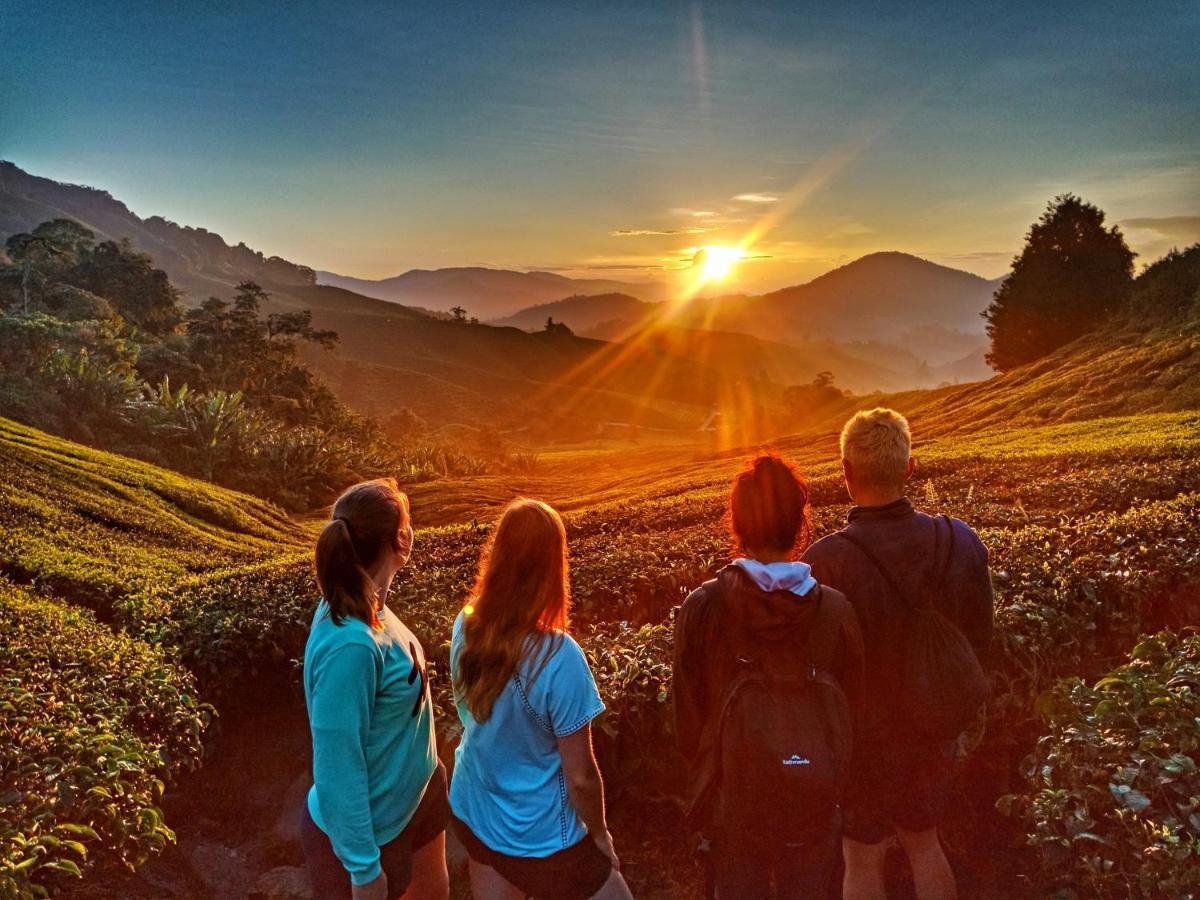 C1 Backpackers Hostel Cameron Highlands Eksteriør billede